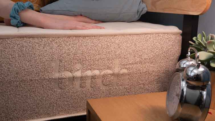 Birch cover close up