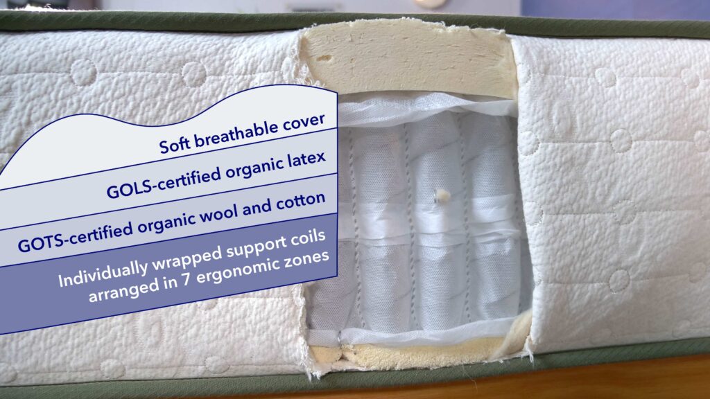 ConstructionGraphics Avocado