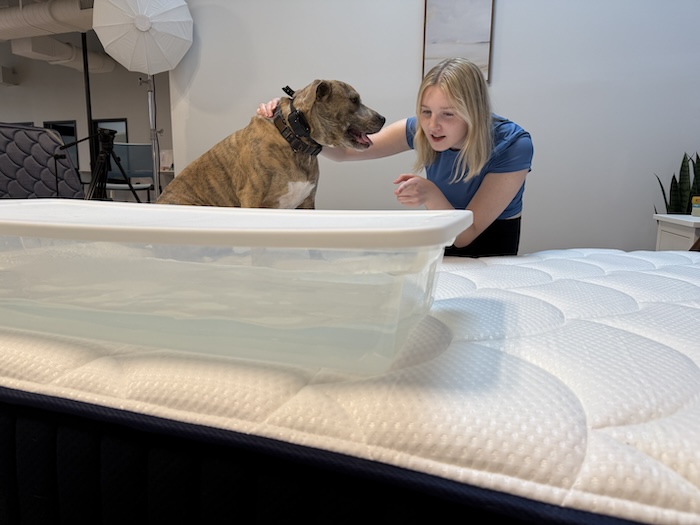 DreamCloud Memory Foam Ripple Test