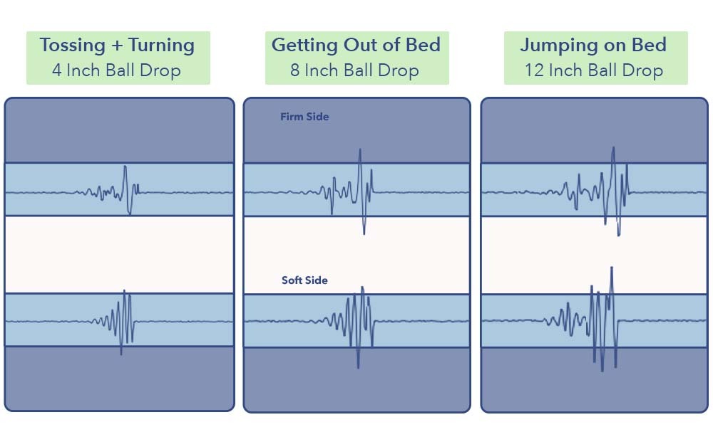 MotionTransfer Layla