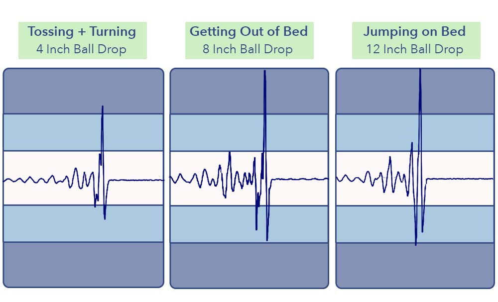 The Bliss's motion transfer results.