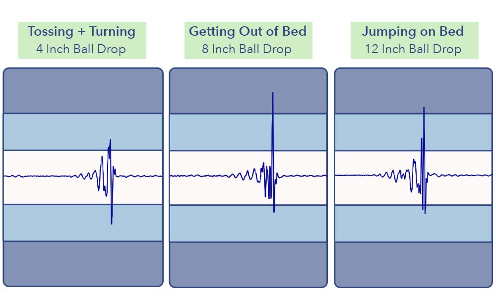 MotionTransfer SaatvaSolaire