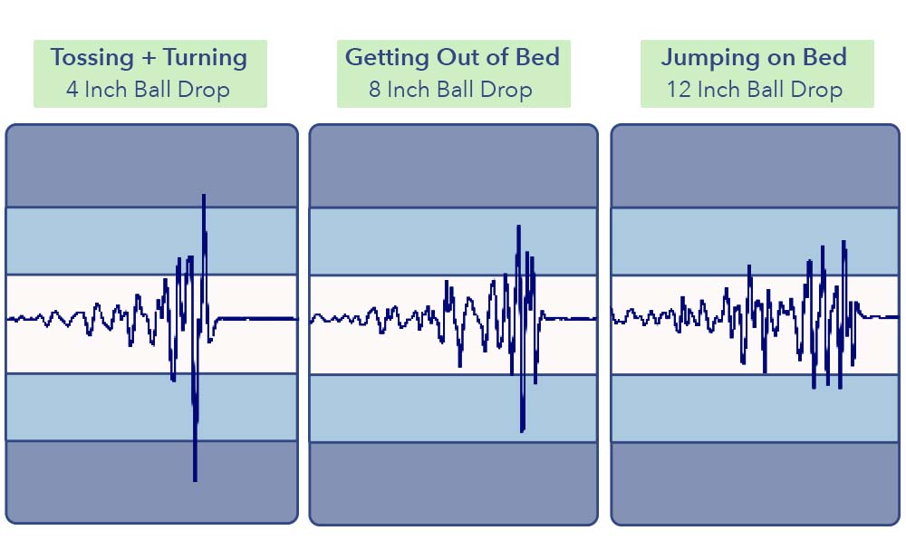 MotionTransfer Silk SnowOrganic