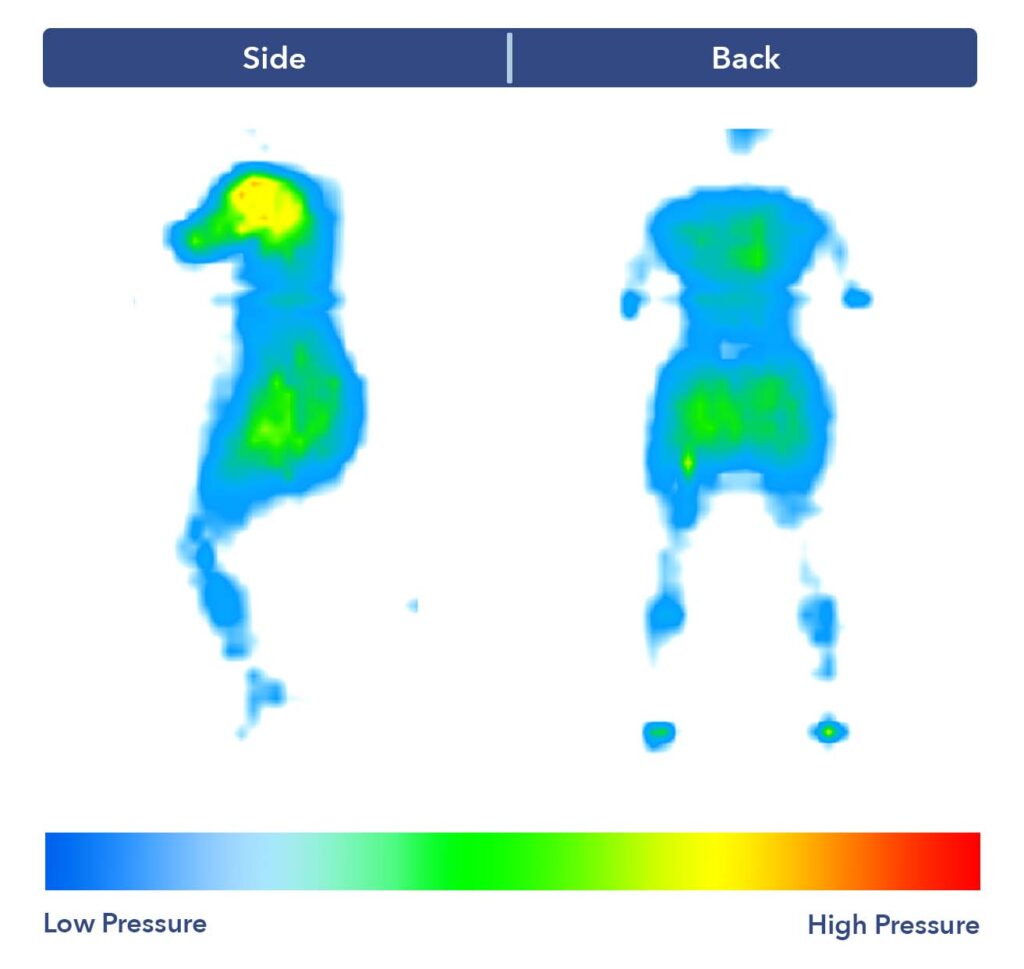 A pressure map of side and back sleeping is shown for the Avocado Green mattress
