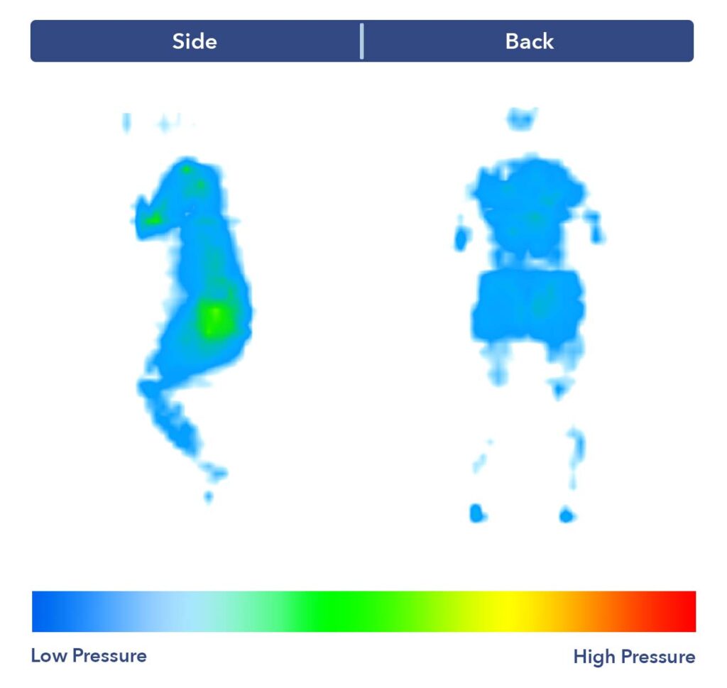 Pressure map results for the Bear Star Hybrid