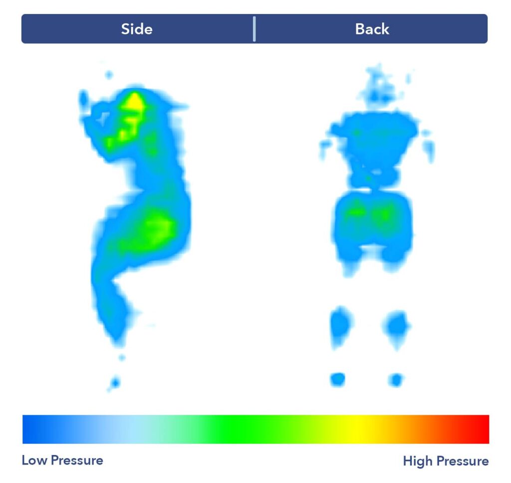 A pressure map graphic for the Plank Firm, showing some moderate pressure buildup at the shoulders.
