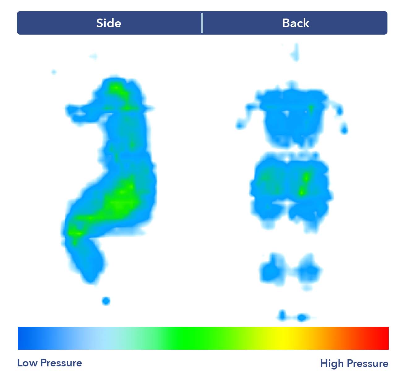 Pressure map for the Saatva Rx mattress