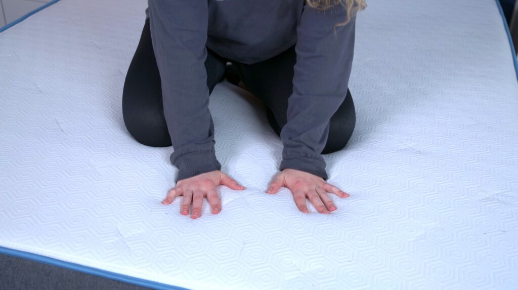 Nichole touching the Bear Original cover